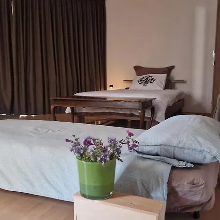 Apartment In Kaiserslautern